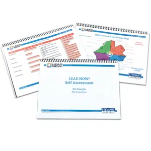 LEAD NOW! Self Assessment