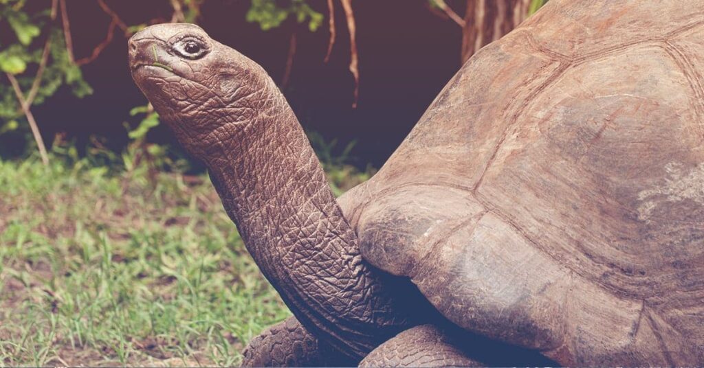 Leadership Lesson: Give your employees the opportunity to stick their necks out without getting whacked.
