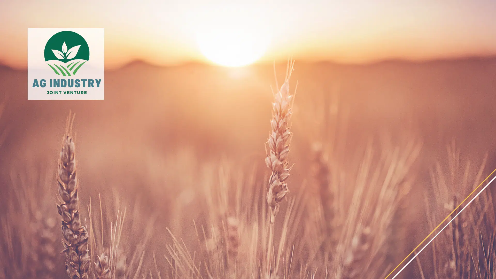 Ag Industry Ag Industry Joint Venture Case Study Cover
