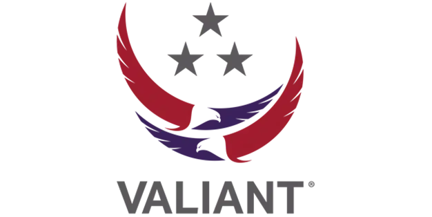 Valiant Integrated Services Logo